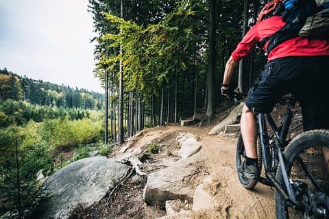 Lille gruppe guidet mountainbike tur fra Prag