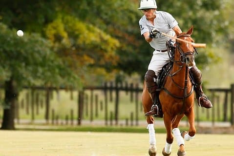 Polo lessen uit Buenos Aires van Polo Elite