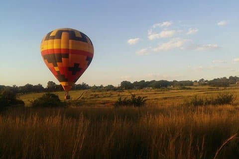 Voo Safari