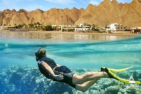 Excursion d'une journée à la mer rouge à Stella Di Mare en Egypte