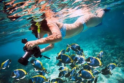 Snorkling turné med båt och Intro Dykning äventyr