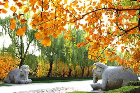 Viagem diurna privada em Pequim: Grande Muralha em Mutianyu e Tumbas Ming