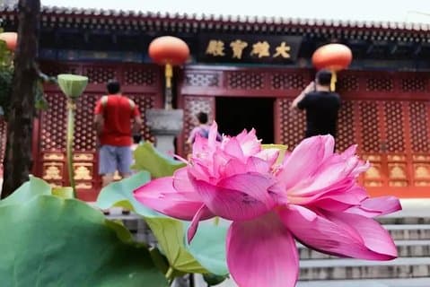 Visite spirituelle privée de Beijing avec déjeuner et cérémonie du thé