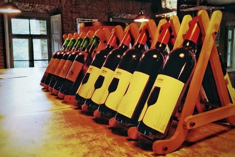 A day tour to Kakheti region/wine/culture/history and gastro tour