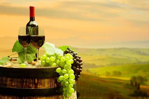 DeepWine Half Day 2 Wineries & Lunch or Dinner in Tuscan Hills