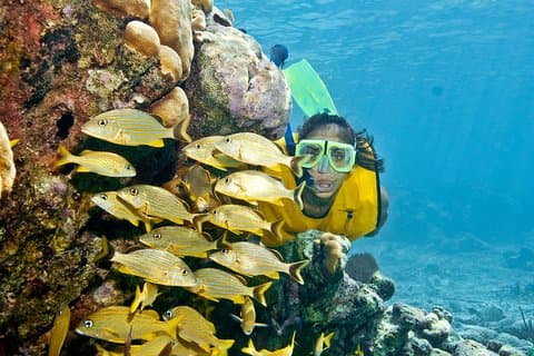Excursión de día completo de aventura extrema con esnórquel desde Riviera Maya