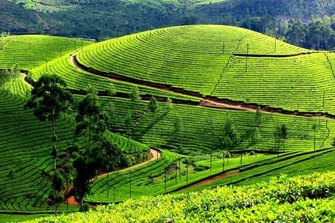 Private 7-Tage-Kerala-Tour mit Hausboot-Kreuzfahrt von Delhi mit 2-Wege-Flüge