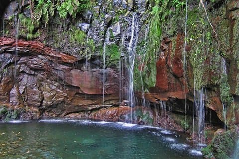 Wandeling in Madeira Levada — Rabacal-meren en -fonteinen