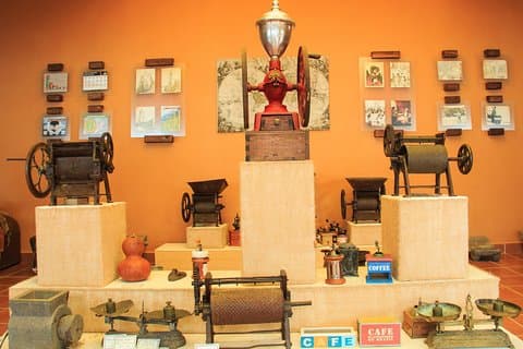 Local Coffee Tasting and Cultural Experience