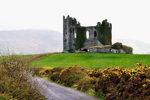 Tour privato da Kerry. Scogliere di Moher, Castello di Bunratty.