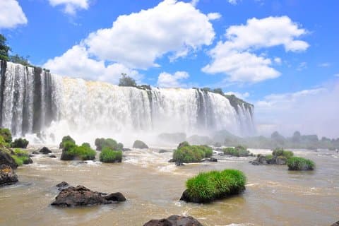 from Puerto Iguazu: Brazilian Falls Bird Park and Itaipu Dam