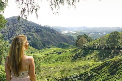Utforska Cameron Highlands: Heldagstur med natursköna Batu Caves