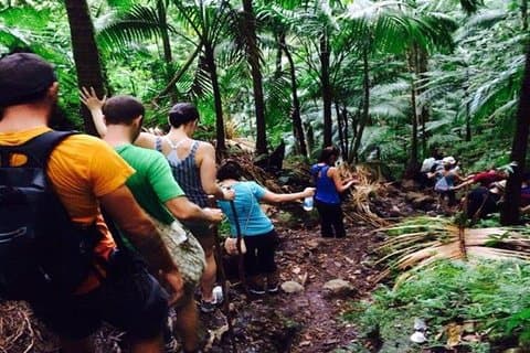 Vandring Mount Liamuiga Volcano i St Kitts