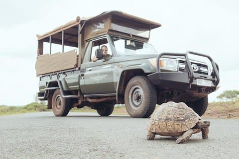 Hluhluwe Game Drive - Mezza giornata