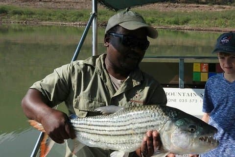 Jozini Tiger Fishing - Full day