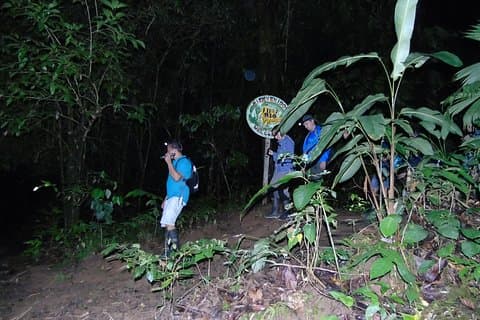 Nativos Corcovado Night Hike in DrakeBay