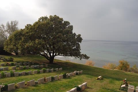 Gallipoli em Profundidade com Troy Pergamon Acropolis e Ephesus