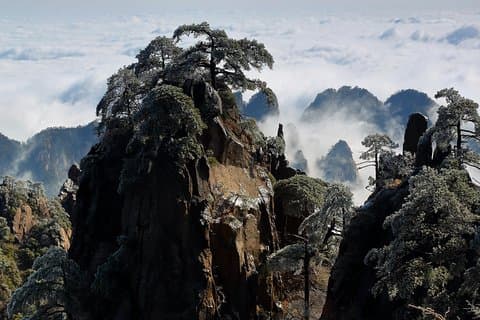 3D Private Trip to Huangshan,Hong village & Jingdezhen Porcelain