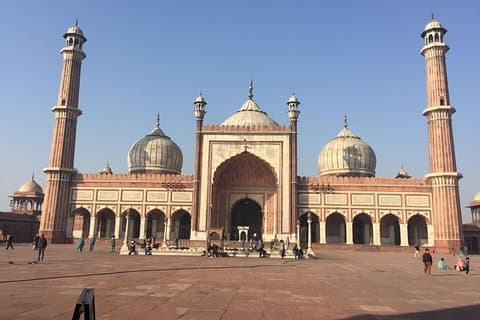 Old and New Delhi Sightseeing Tour com Rickshaw Ride