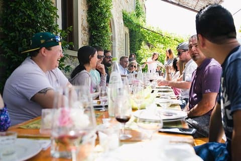 Educational Olive Oil Tasting