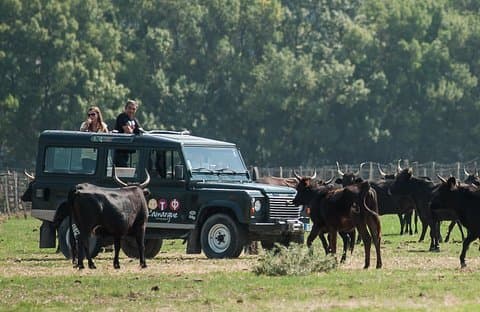 4x4 Safari halvdag med måltider (5t30)