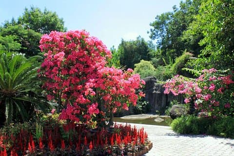 Xiamen Private Day Tour: Jardim Botânico e Jimei School Village