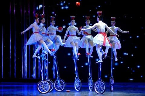 Visite de 5 heures des acrobaties nocturnes de Pékin et du spectacle de l'opéra de Pékin