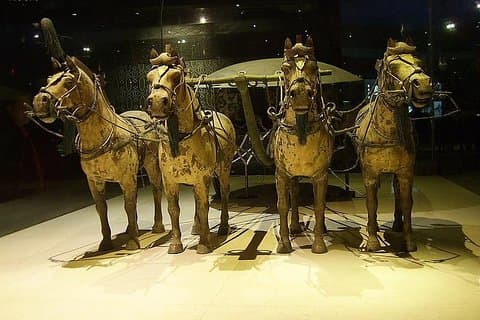 Tour privado de Xi'an: Guerreros de terracota y Museo Banpo