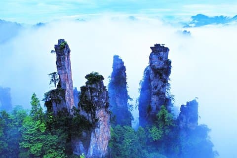 Excursion d'une journée au parc national forestier de Zhangjiajie et au pont de verre