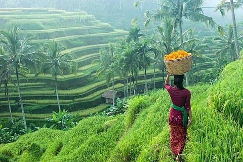 Privat dag Ubud konst- och kulturtur