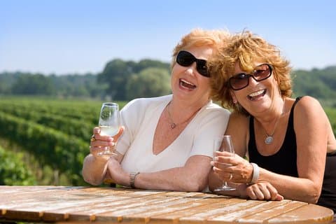 Wanaka Wine Tours - Classic Tour