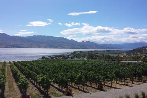 Tour og Smag Okanagan's Wine Country