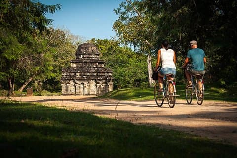4-daagse tour De essentie van Sri Lanka