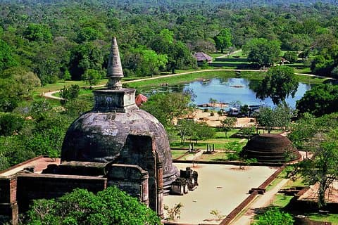 Fra Dambulla/Habarana: Privat dagstur til Sigiriya og Polonnaruwa