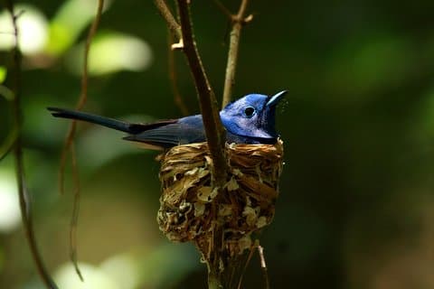 Exclusivo : Privado Todo Incluido Noche Aventura en selva tropical