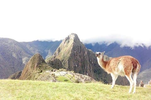 Lille Gruppedagstur til Machu Picchu