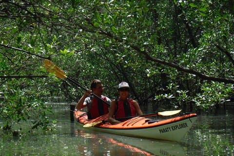 Mamangua Experience - Mar y Bosque (2 días)