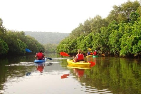 Goa Kajakroning i Spike's River