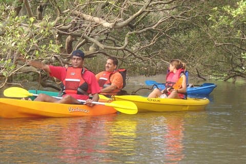 Mangroves Magic Goa Kajakoplevelse