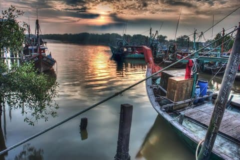 Magisk Full-Day Fireflies River og skaldyr middag, Selangor