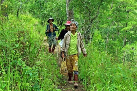 Dong Iar Jieng - Monkey mountain trekking 3 days