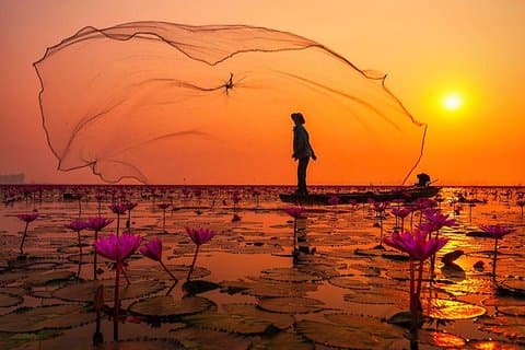 Mekong-Delta: Erleben Sie My Tho - Ben Tre ganztägig mit Bootsfahrt