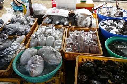 Privat halvdagstur i Nha Trang høydepunkter