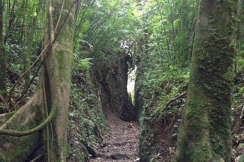 Randonnée volcanique mombacho et aventure tyrolienne de San Juan del Sur