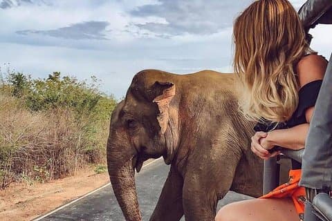 Tour privato dello Sri Lanka con autista | 8 giorni All Inclusive