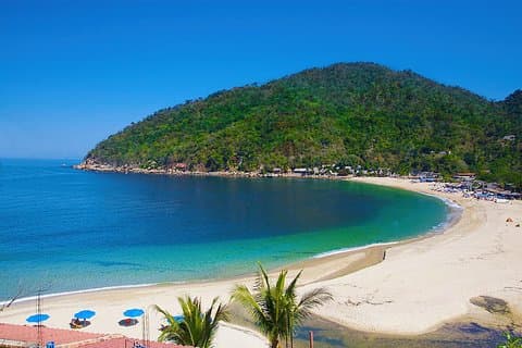 Tuba yelapa