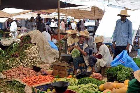 Geführter Tagesausflug zum Wochenmarkt im Atlasgebirge von Marrakesch