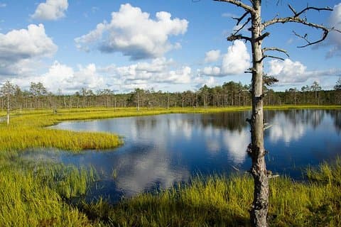 Dagtrip nationaal park Lahemaa
