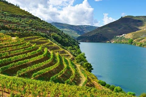 Douro Valley Wine privétour met wijnproeverij vanuit Porto