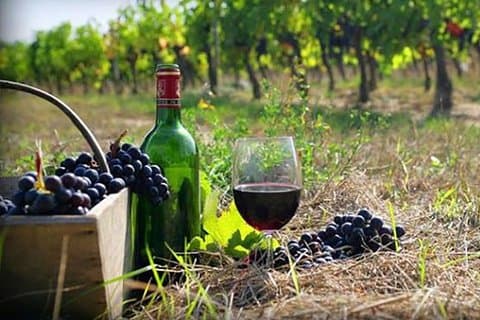 Private Weintour nach Kachetien von Tiflis